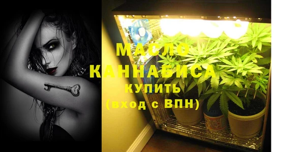 дживик Вязьма