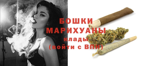 дживик Вязьма