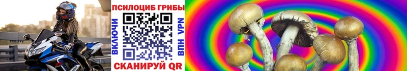 сколько стоит  Волчанск  Псилоцибиновые грибы прущие грибы 
